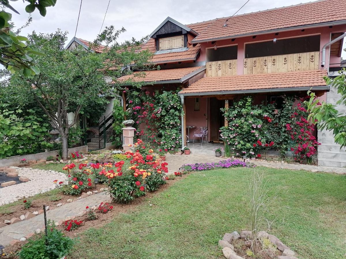 סוקו בניה Apartman Mika מראה חיצוני תמונה