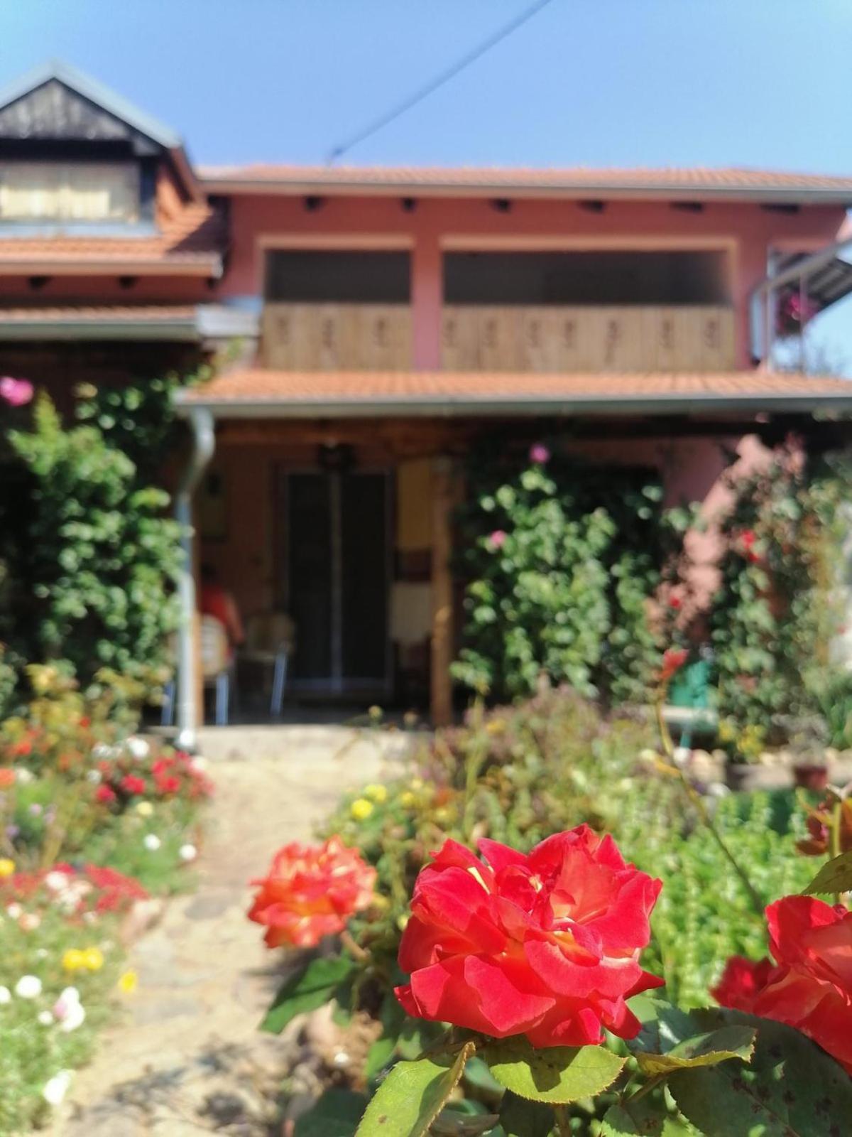 סוקו בניה Apartman Mika מראה חיצוני תמונה